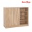 San-Yang Shoe Cabinet 213032